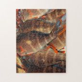 Verse vis legpuzzel (Verticaal)