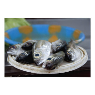 verse vis op de vismarkt (Mercado de Peixe), Foto Afdruk