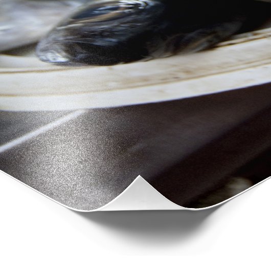 verse vis op de vismarkt (Mercado de Peixe), Foto Afdruk (Hoek)