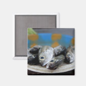 Verse vis op de vismarkt Mercado de Peixe), Magneet (Voorkant / Achterkant)