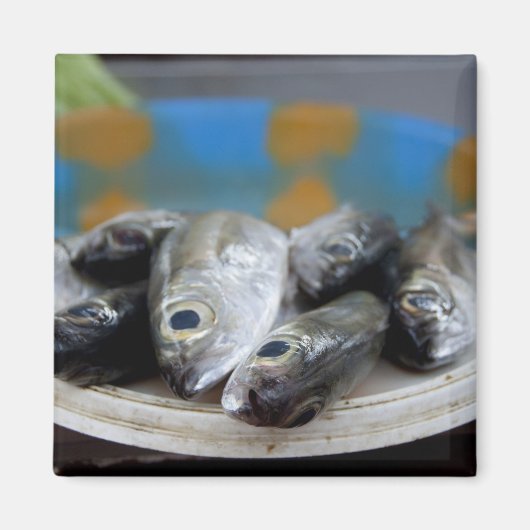 Verse vis op de vismarkt Mercado de Peixe), Magneet (Voorkant)