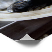 verse vis op de vismarkt (Mercado de Peixe), Poster (Hoek)