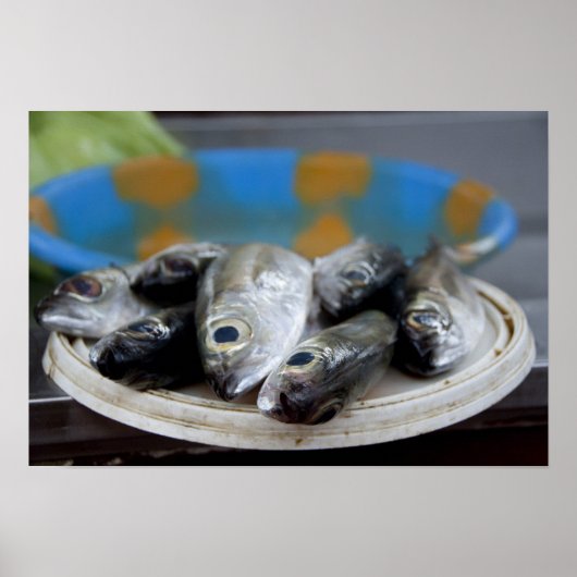 verse vis op de vismarkt (Mercado de Peixe), Poster (Voorkant)
