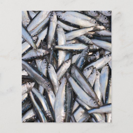 Verse visvangst - voedselingrediënten. flyer (Voorkant)