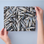 Verse visvangst - voedselingrediënten. flyer (Hand)