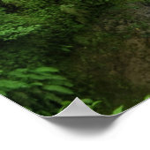 Verse weelderige groene natuurlijke waterval poster (Hoek)