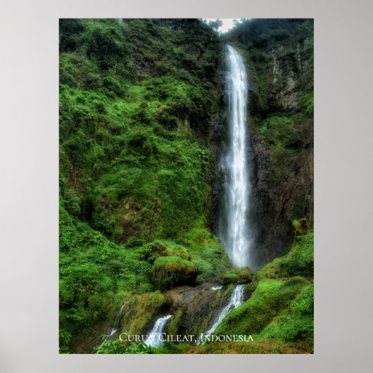 Verse weelderige groene natuurlijke waterval poster (Voorkant)