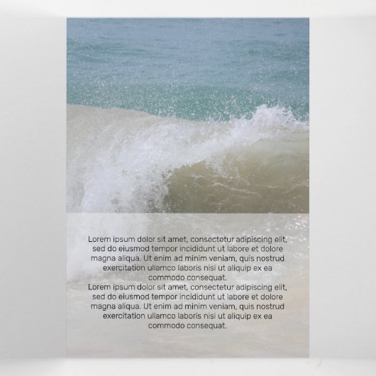 Verse witte moderne transparantie drieluik kaart (Binnenkant midden)