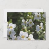 verse witte tuinbloemen repetitief diner kaart (Achterkant)