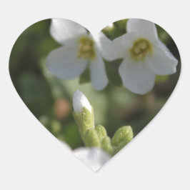Verse witte zomertuinbloemen en groene bladeren hart sticker