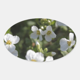 Verse witte zomertuinbloemen en groene bladeren ovale sticker