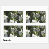 Verse witte zomertuinbloemen en groene bladeren rechthoekige sticker (Vel)