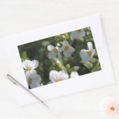 Verse witte zomertuinbloemen en groene bladeren rechthoekige sticker (Envelop)