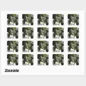 Verse witte zomertuinbloemen en groene bladeren vierkante sticker (Vel)
