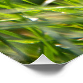 Verse zomerochtend perfect poster (Hoek)