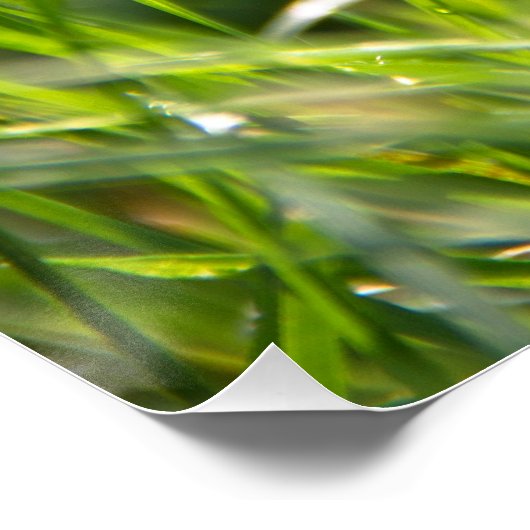 Verse zomerochtend perfect poster (Hoek)