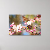 Verse Zonoverlichte Kersenbloesem en Paarse Knoppe Canvas Afdruk (Voorkant)