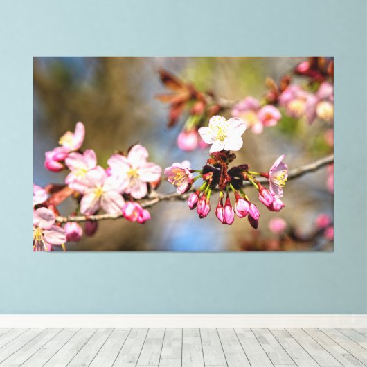 Verse Zonoverlichte Kersenbloesem en Paarse Knoppe Canvas Afdruk (Insitu (Houten vloer))