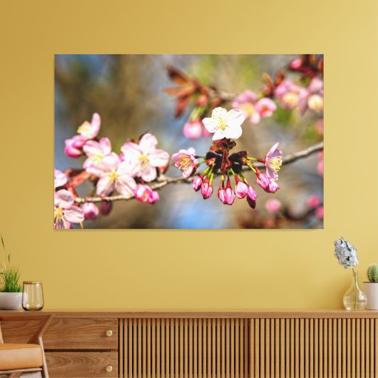 Verse Zonoverlichte Kersenbloesem en Paarse Knoppe Canvas Afdruk (Insitu (Woonkamer))