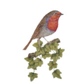 versierde kerstbomen met ivoren en robins kerstboom rok