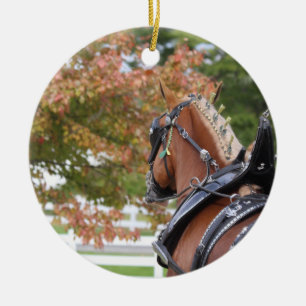 Versiering Belgische conceptpaarden Keramisch Ornament