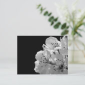 Versiering van peren ... briefkaart (Staand voorkant)