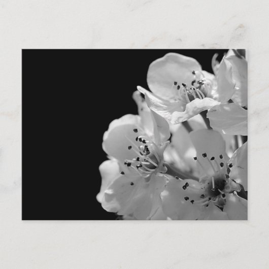 Versiering van peren ... briefkaart (Voorkant)