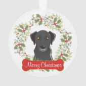 versiering zwart laboratorium ornament (achterkant)