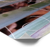 versieringen van natuur poster (Hoek)