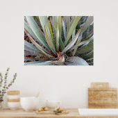 versieringen van natuur poster (Keuken)