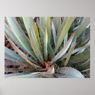 versieringen van natuur poster