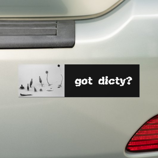 verslaafd bumpersticker (Op auto)