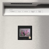 Versloeg de gevreesde roze magneet (Insitu (Vaatwasser))