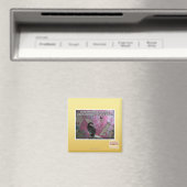 Versloeg de gevreesde roze magneet (Insitu (Vaatwasser))