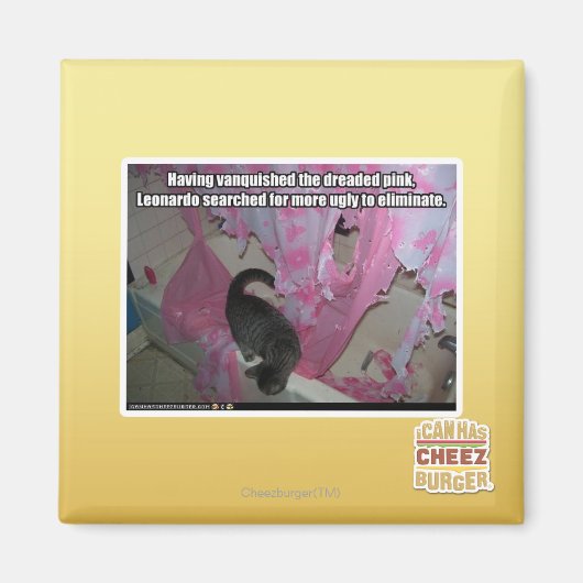 Versloeg de gevreesde roze magneet (Voorkant)
