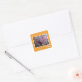Versloeg de gevreesde roze vierkante sticker (Envelop)