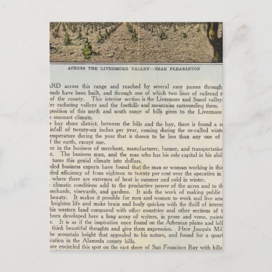 Verso Alameda Briefkaart (Voorkant)
