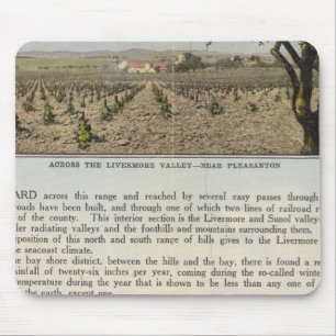 Verso Alameda Muismat