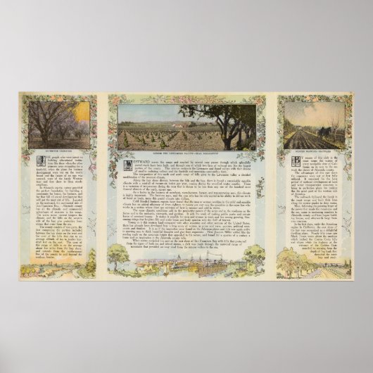 Verso Alameda Poster (Voorkant)