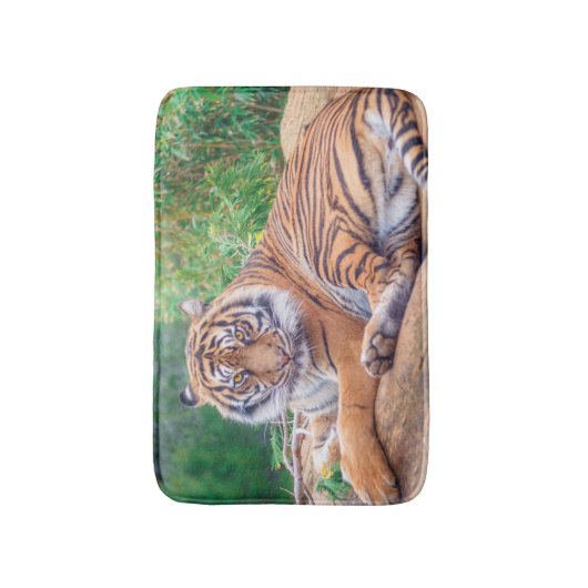 Versoepelde teruglopende tijger badmat (Voorkant Verticaal)
