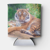 Versoepelde teruglopende tijger blikjeskoeler (Voorkant)