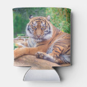 Versoepelde teruglopende tijger blikjeskoeler (Achterkant)