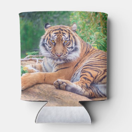 Versoepelde teruglopende tijger blikjeskoeler (Achterkant)