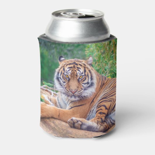 Versoepelde teruglopende tijger blikjeskoeler (Blikje Achterkant)