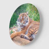 Versoepelde teruglopende tijger grote klok (Hoek)