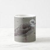 Versoepelde zeemadel op de zand-Natuur van zeevoge Koffiemok (Center)