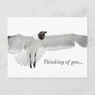 Verspreid die Wings PNG die aan je denken Briefkaart