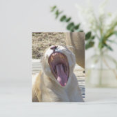 Verspreid het nieuws! briefkaart (Staand voorkant)