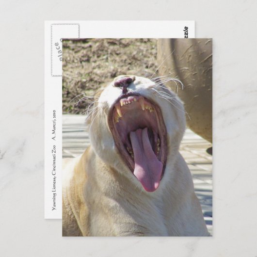 Verspreid het nieuws! briefkaart (Voorkant / Achterkant)