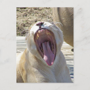 Verspreid het nieuws! briefkaart